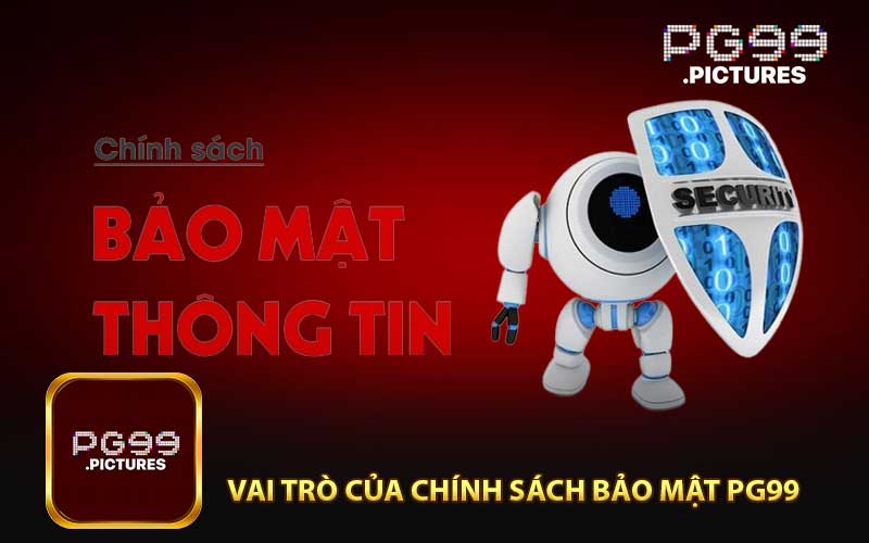 Vai Trò Quan Trọng Của Chính Sách Bảo Mật PG99