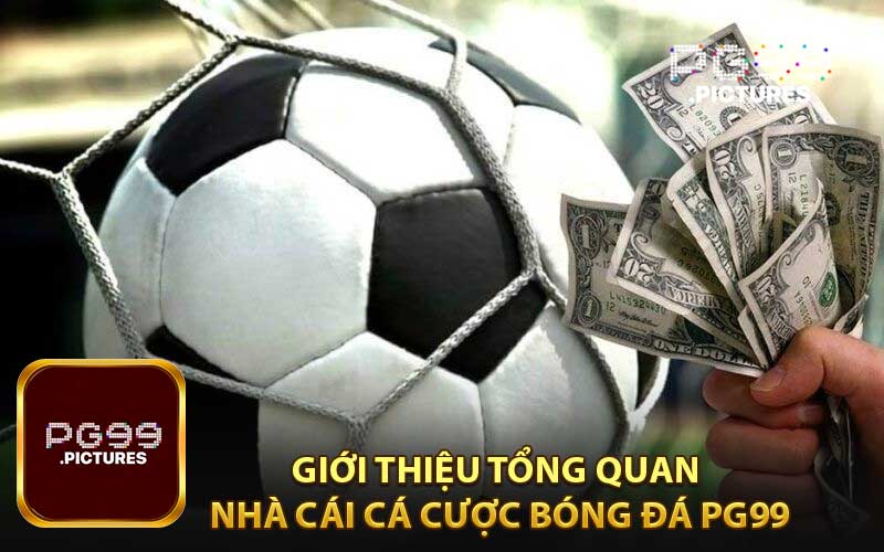 Giới thiệu tổng quan nhà cái cá cược bóng đá PG99